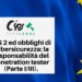 NIS2 ed obblighi di cybersicurezza: la responsabilità del penetration tester (Parte I/III).